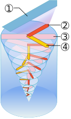 Ekman spiral